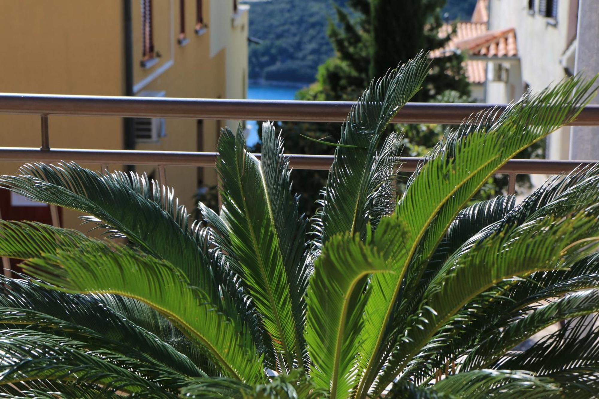 Apartments With A Parking Space Rabac, Labin - 7429 المظهر الخارجي الصورة